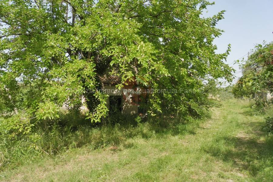 Immagine annuncio immobiliare quattromura fano