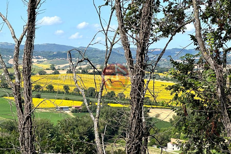 Immagine annuncio immobiliare quattromura fano
