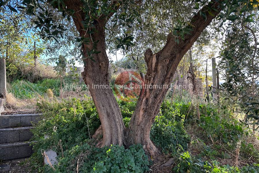 Immagine annuncio immobiliare quattromura fano