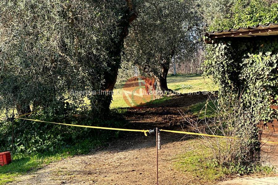 Immagine annuncio immobiliare quattromura fano