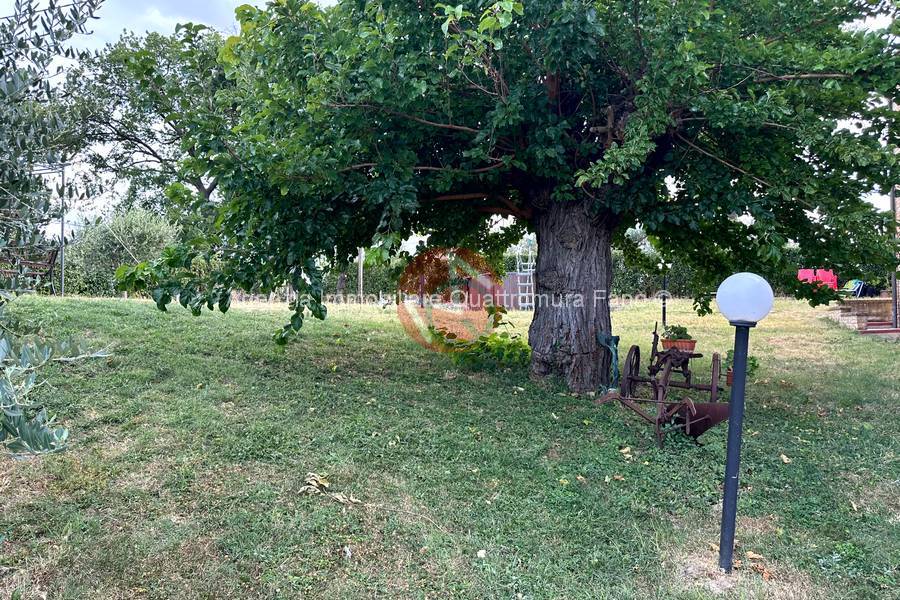 Immagine annuncio immobiliare quattromura fano