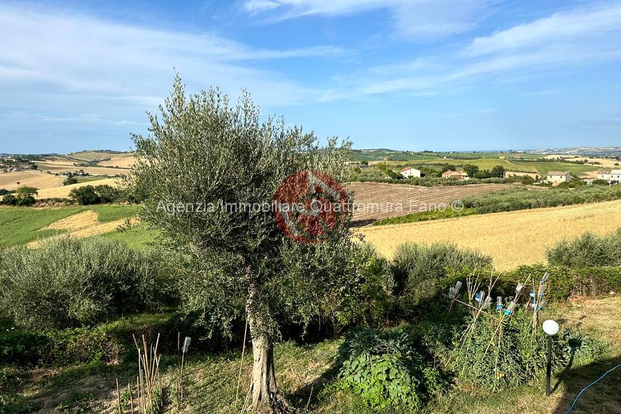 Immagine annuncio immobiliare quattromura fano