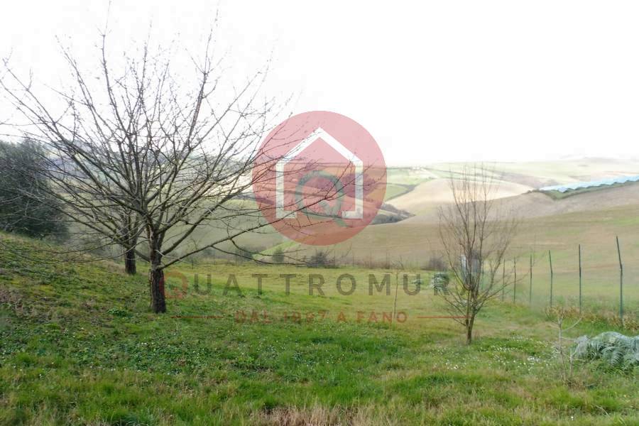 Immagine annuncio immobiliare quattromura fano