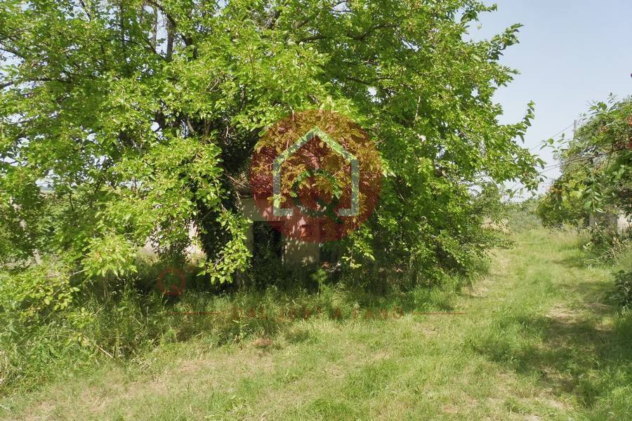 Immagine annuncio immobiliare quattromura fano