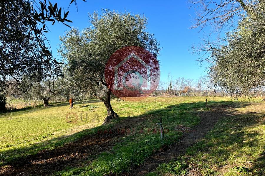 Immagine annuncio immobiliare quattromura fano