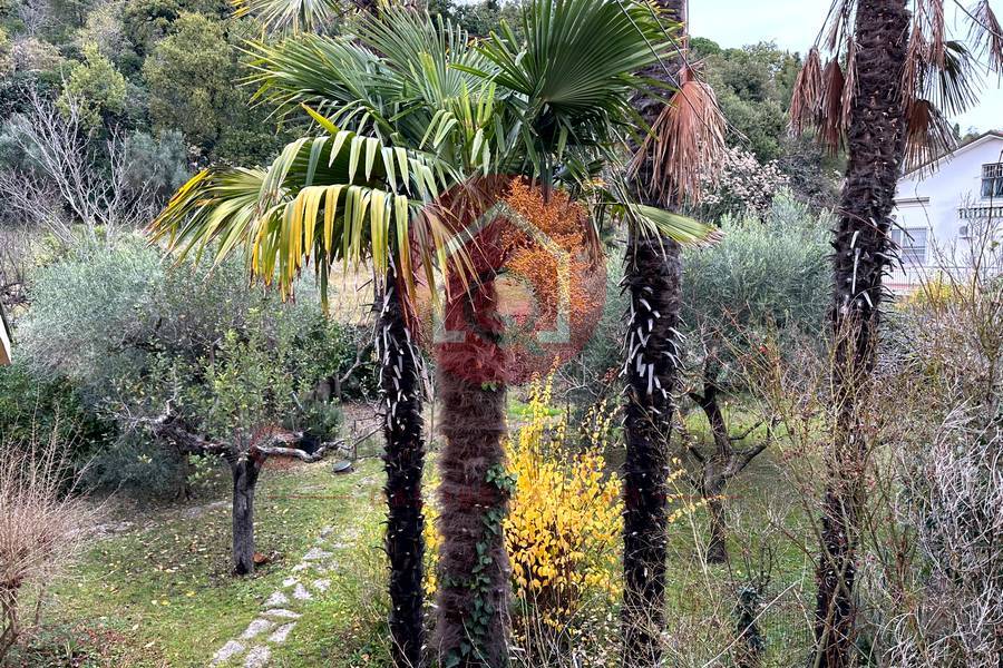 Immagine annuncio immobiliare quattromura fano