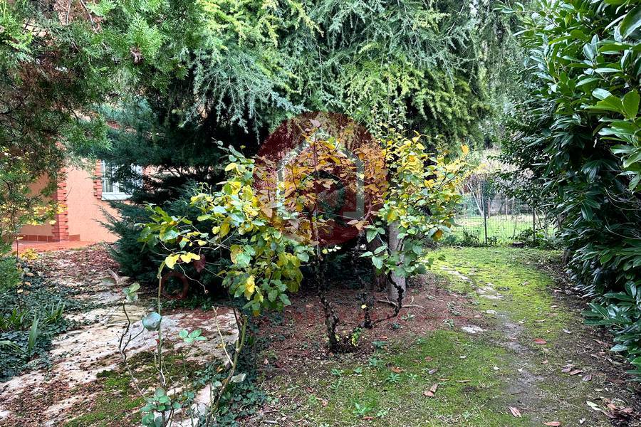 Immagine annuncio immobiliare quattromura fano